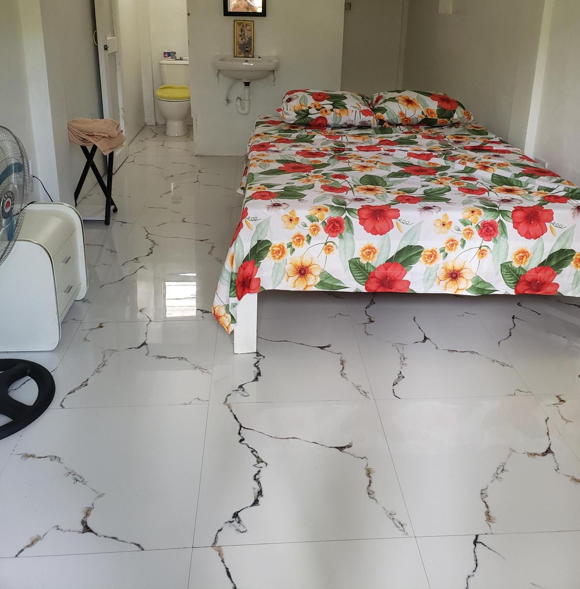 Zaboca Apartment Roseau Room photo